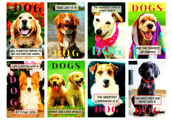 colorful dog magnetic prints with quotes set of 8