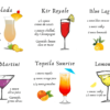Cocktail Recipes magnetic prints set of 6