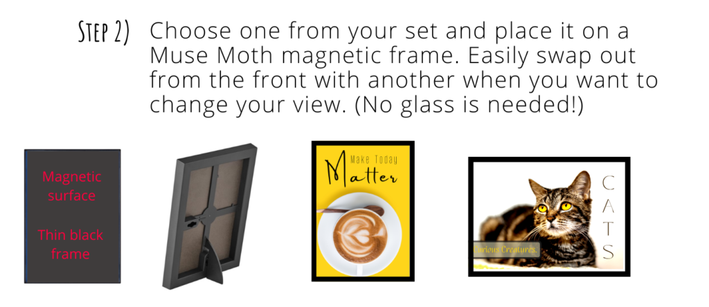Step 2 how to use Muse Moth pics