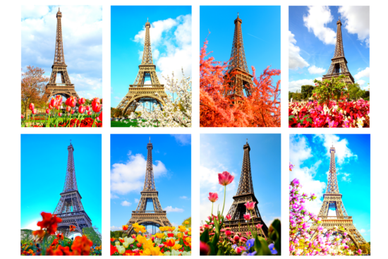 Paris Eiffel Tower with flowers magnetic print set