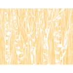 white birch trees with yellow background regular print