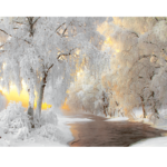 winter scene with river regular print