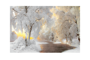 winter scene with river regular print