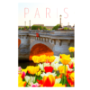 Paris bridge with spring flowers print