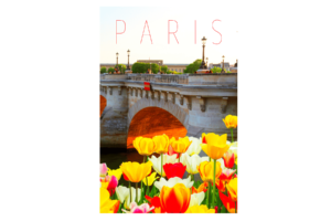 Paris bridge with spring flowers print