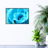 close up of blue rose print hanging on wall
