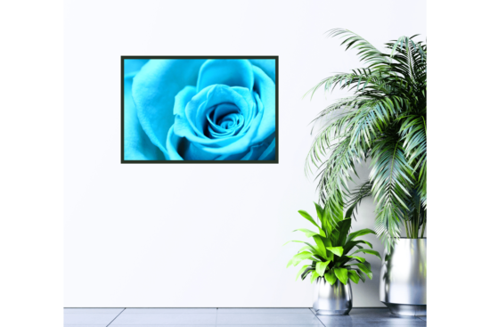 close up of blue rose print hanging on wall
