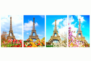 Eiffel Tower with Flowers magnets