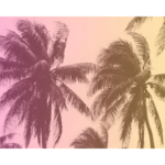 Palm trees with pink, orange, and yellow overlay print