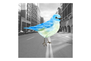 Giant blue bird standing in the middle of a street in black and white wall print
