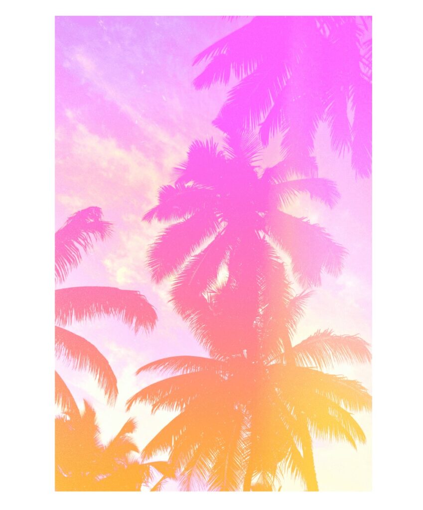 Palm trees with orange to pink gradient wall print