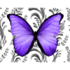 purple butterfly with black and white background wall print