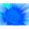 Neon blue and green flower, up close, wall print