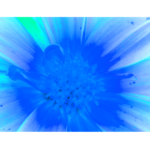 Neon blue and green flower, up close, wall print