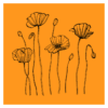 Line drawing of flowers with orange background wall print