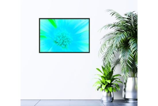 Neon light blue and lime green flower, up close, wall print
