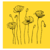Line drawing of flowers with yellow background wall print