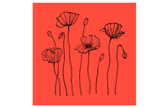 Flower drawing with red background wall print