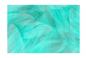 Just Love text with teal feather and fabric background wall print