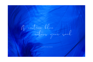 Certain kind of blue Matisse quote with blue feather background wall print