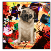 Pug dog with red, yellow, and blue abstract art wall print