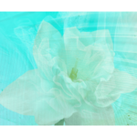large white flower with abstract blue background wall print