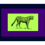 Black leopard drawing with green, purple, and blue rectangles around it.