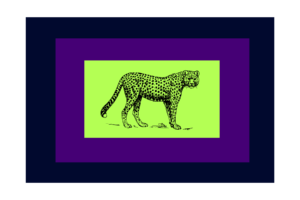 Black leopard drawing with green, purple, and blue rectangles around it.