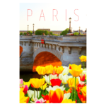 Paris bridge with yellow, white, and red flowers with Paris text in red wall print
