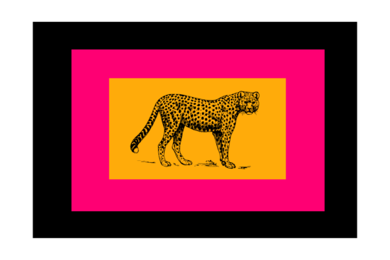 Leopard (similar to cheetah) ink-like drawing with orange, hot pink, and black rectangles around it wall print