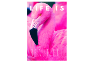 Life is Beautiful quote with bright pink flamingo wall print