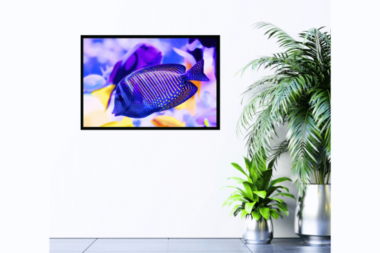 Purple and yellow fish in ocean print on wall