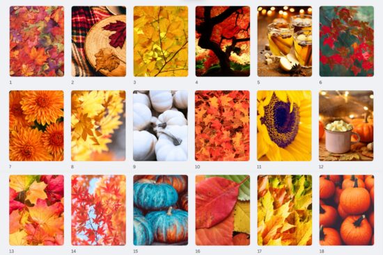 Fall Paper Pack 18 backgrounds